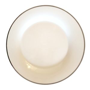 1 Vtg Dinner Plate Everyday Gibson